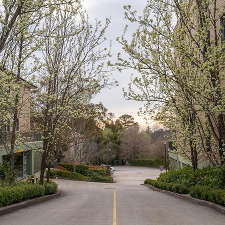 Leisure Inn Spires Leura Kültér fotó